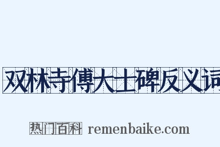 双林寺傅大士碑反义词是什么意思的图片